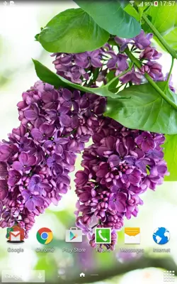 Lilac Live Wallpaper android App screenshot 1