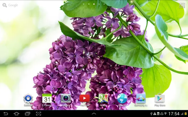 Lilac Live Wallpaper android App screenshot 3